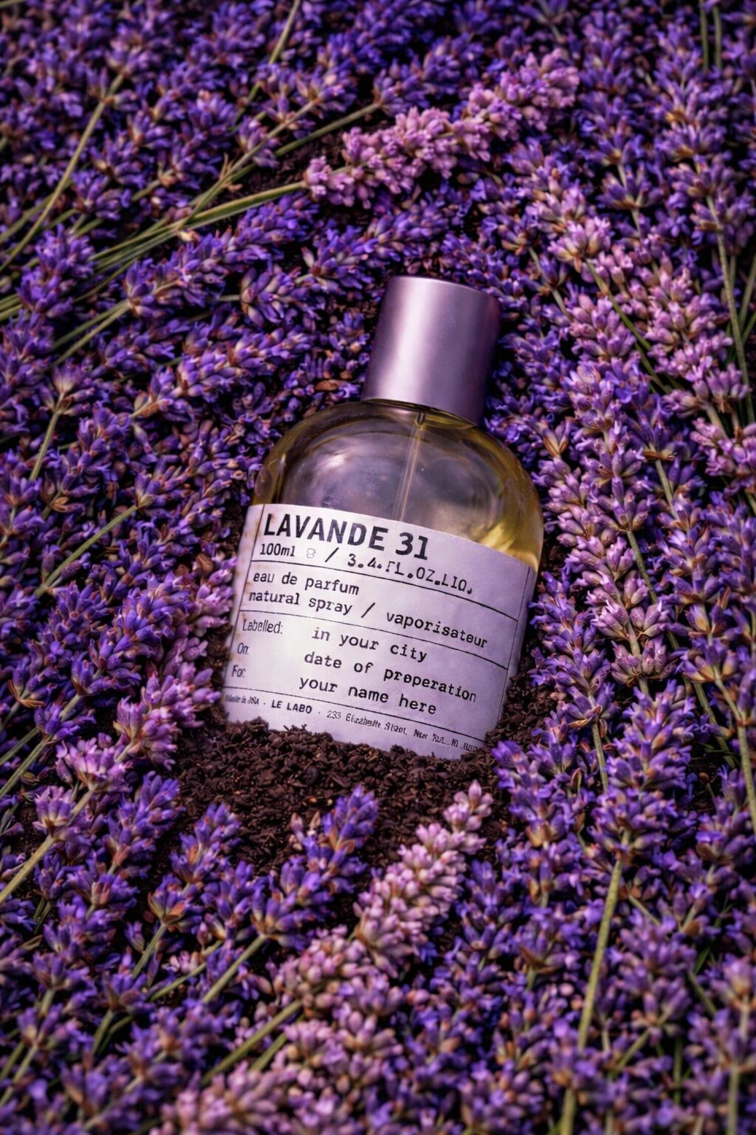 Lavande 31