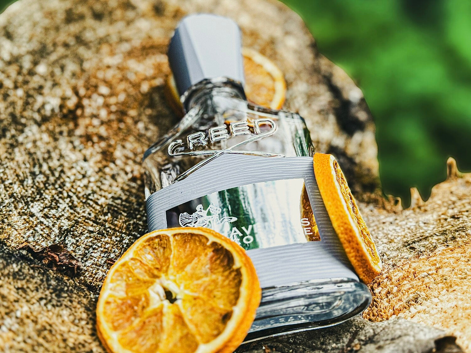 Aventus Cologne