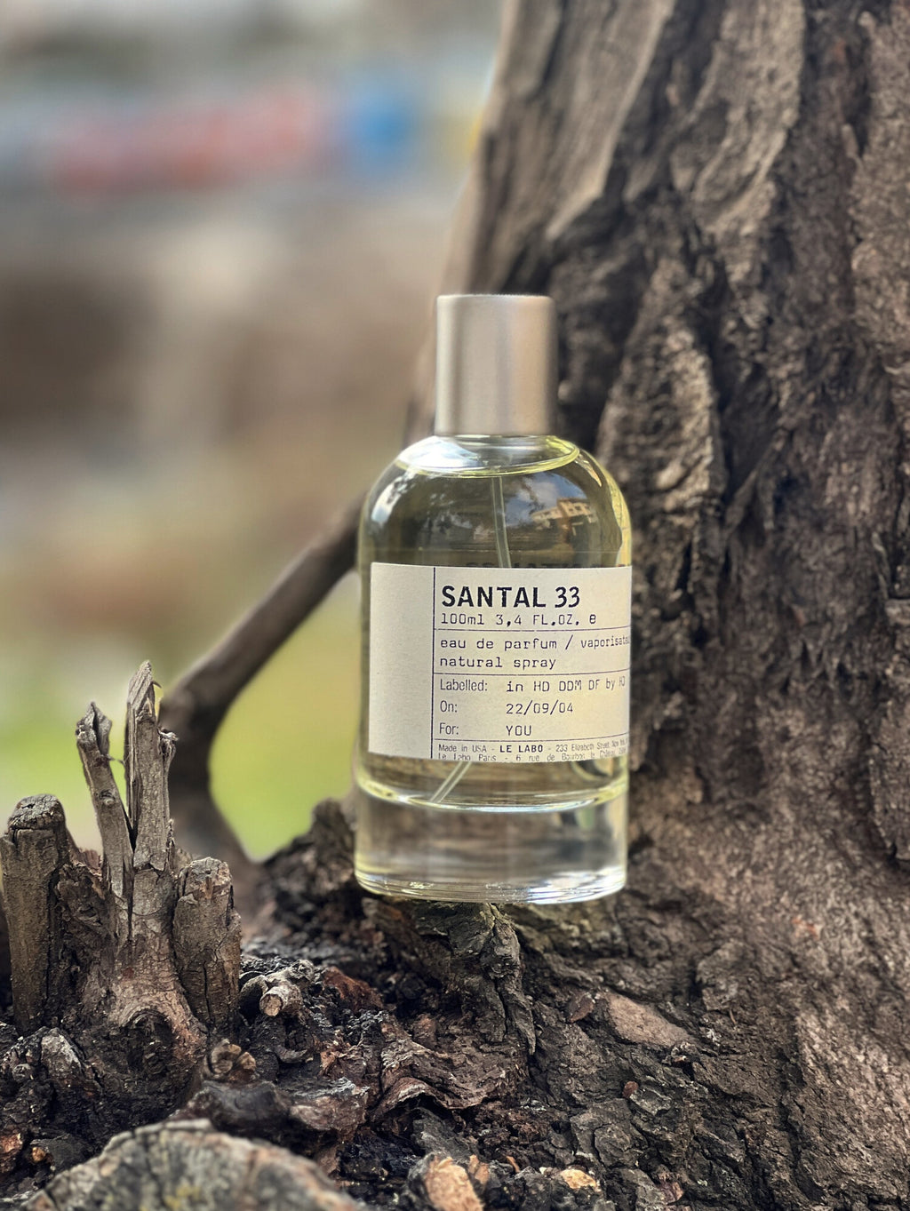 Santal 33